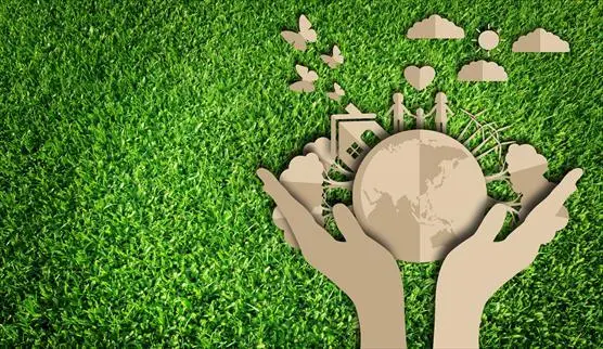 Biodiversity Crisis, ZBZ, Scientific Validation